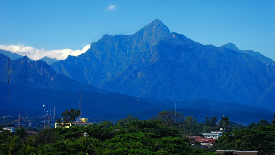 Fondo consulta saldo